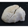 Selenite Geode - diamètre 14/15cm